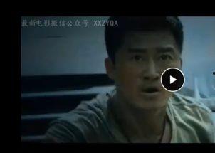 战狼2在线视频 magnet