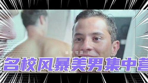 名校风暴在线视频,揭秘顶尖学府的激烈竞争与青春成长