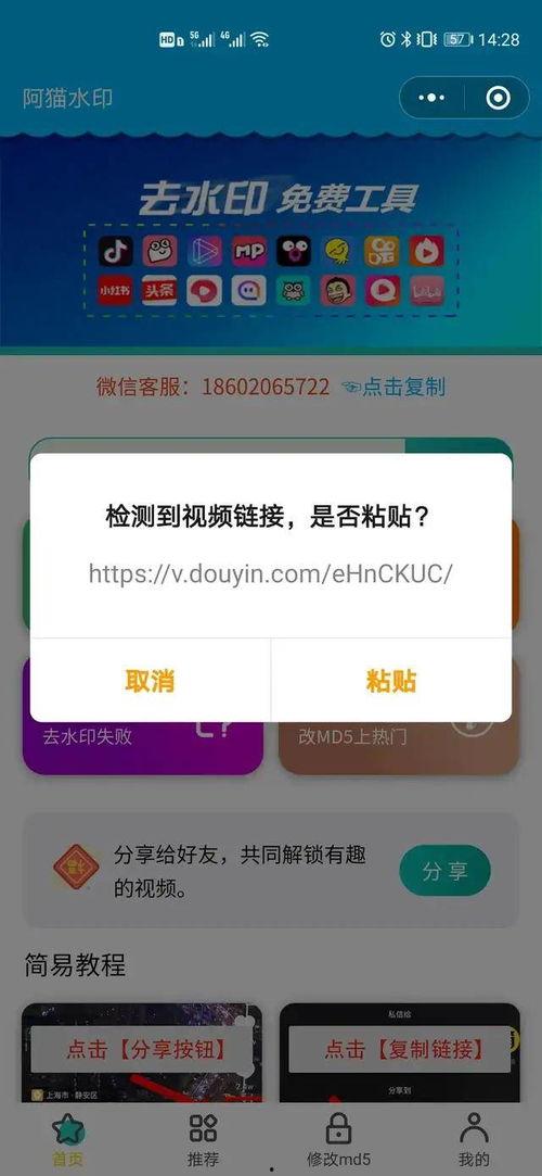 在线视频链接检测,深度解析