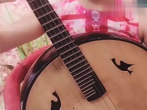 中阮弹奏在线视频,在线视频中的古典韵味与技巧解析