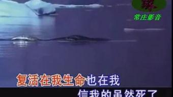 惟有基督在线视频