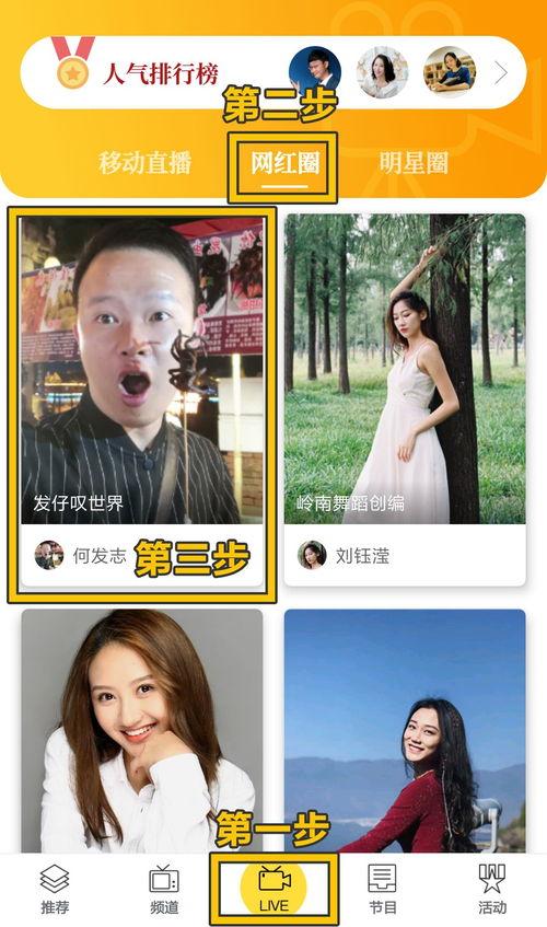 仔在线视频,揭秘网络直播的魅力与挑战