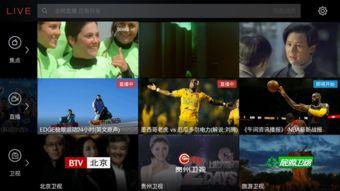 在线视频第一页,内容布局与观看体验深度解析