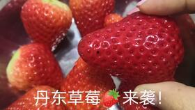 草莓视频开在线视频,在线视频新潮流，畅享视听盛宴