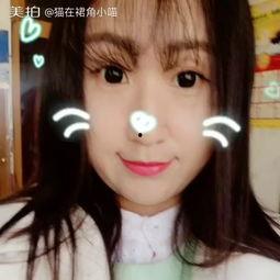 自拍538在线视频,揭秘网络短视频的流行密码