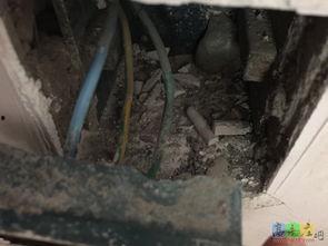 glz 高老庄在线视频,GLZ在线视频深度解析