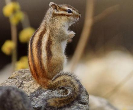 色松鼠综合在线视频影院,海量影视资源，畅享观影新体验