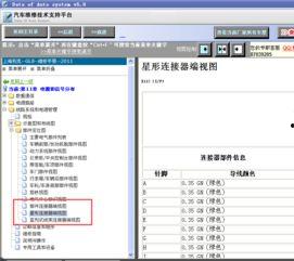 9055在线视频,揭秘热门内容背后的精彩故事