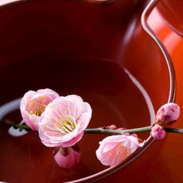 红杏灯草在线视频,揭秘古代宫廷秘闻的视听盛宴